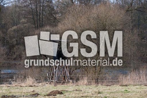 Hochstände (126 von 154).jpg